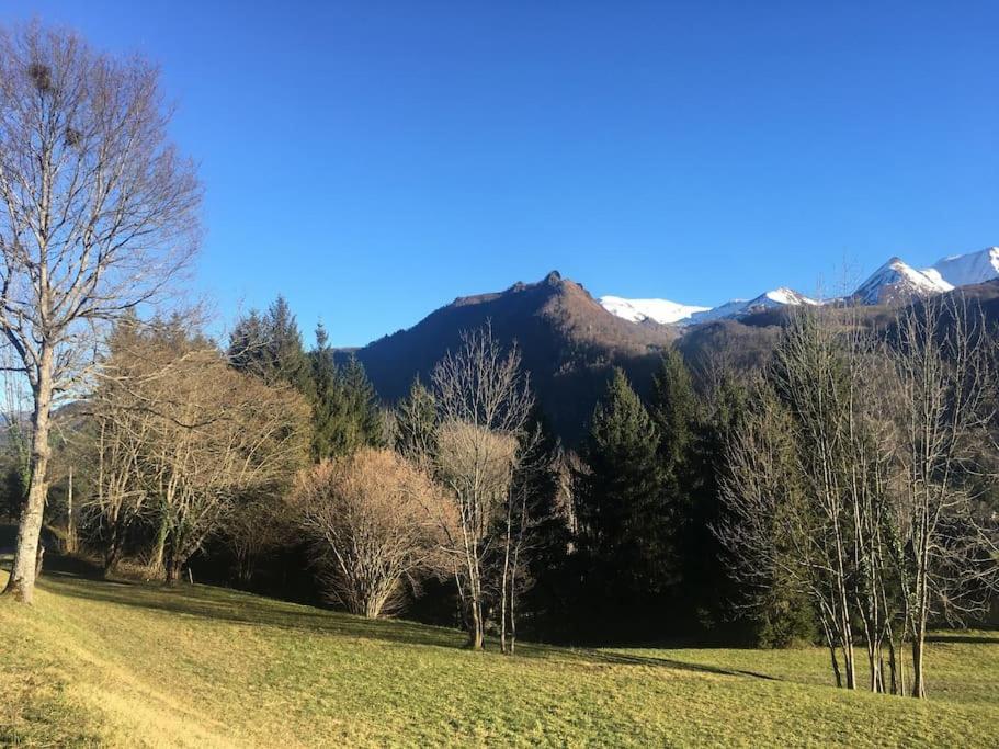Top Floor Apartment With Mountain Views In The Centre Of Argeles Gazost Eksteriør bilde